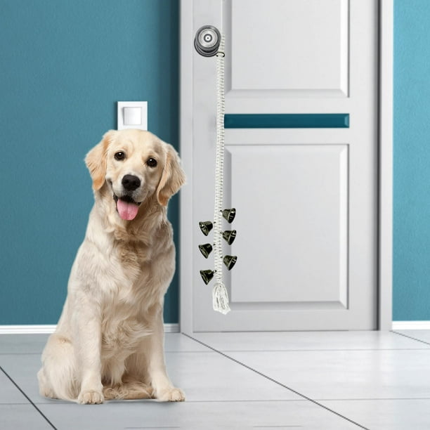 Training bell for dogs to go best sale outside