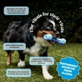 thumbnail image 3 of Pet Honesty Omega-3 Fish Oil for Dogs and Cats - 32 Ounces, 3 of 6