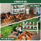 thumbnail image 4 of Historyli Nido metálico para gallinas con 8 compartimentos y patas, fácil de recoger y limpiar, color verde, 4 of 6