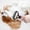 Orange, variant on Deshedding Brush for Dogs and Cats: Undercoat Rake Pet Brush for Long Hair - Dematting Comb Removes Tangles Knots and Loose Fur, Grooming Tool for Thick Coats