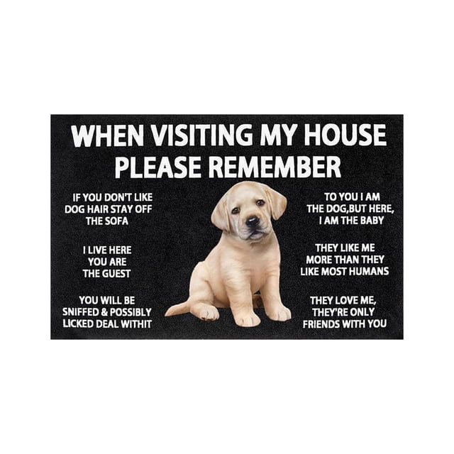 zhangmingg Indoor and Outdoor Welcome Mat Non- Entrance Rug for Easy Clean Home Floor