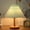 Green, variant on Taicans Cordless Table Lamp,Table Lamp with Ivory Pleated Shade,Battery Operated Lamp,3 Color Modes Dimmable LED Lamp,Portable Beside Lamps for Bedroom Living Room Restaurant Red