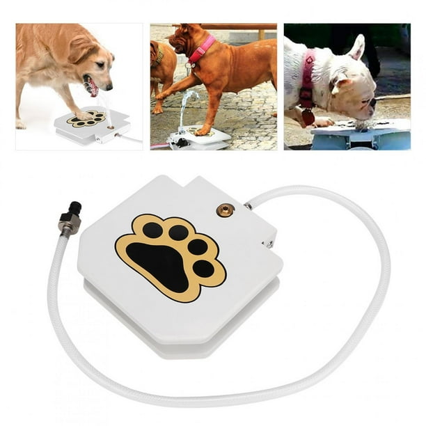 Dog drinking dispenser cheap