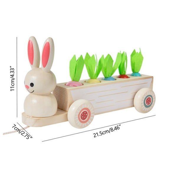 PVCS Wooden Of Toy For Toddlers - 1 Year Old Baby Toy Carrots | Fruit Shape And Sizes Sorting Wooden Puzzle Blocks Game Best Educational Toys Games Gift for Kids