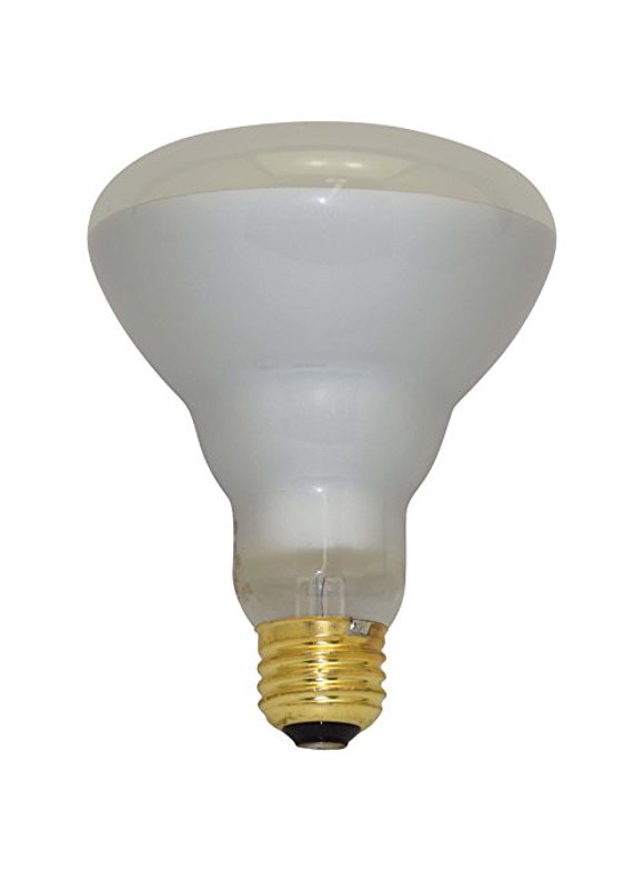 Incandescent Light Bulbs