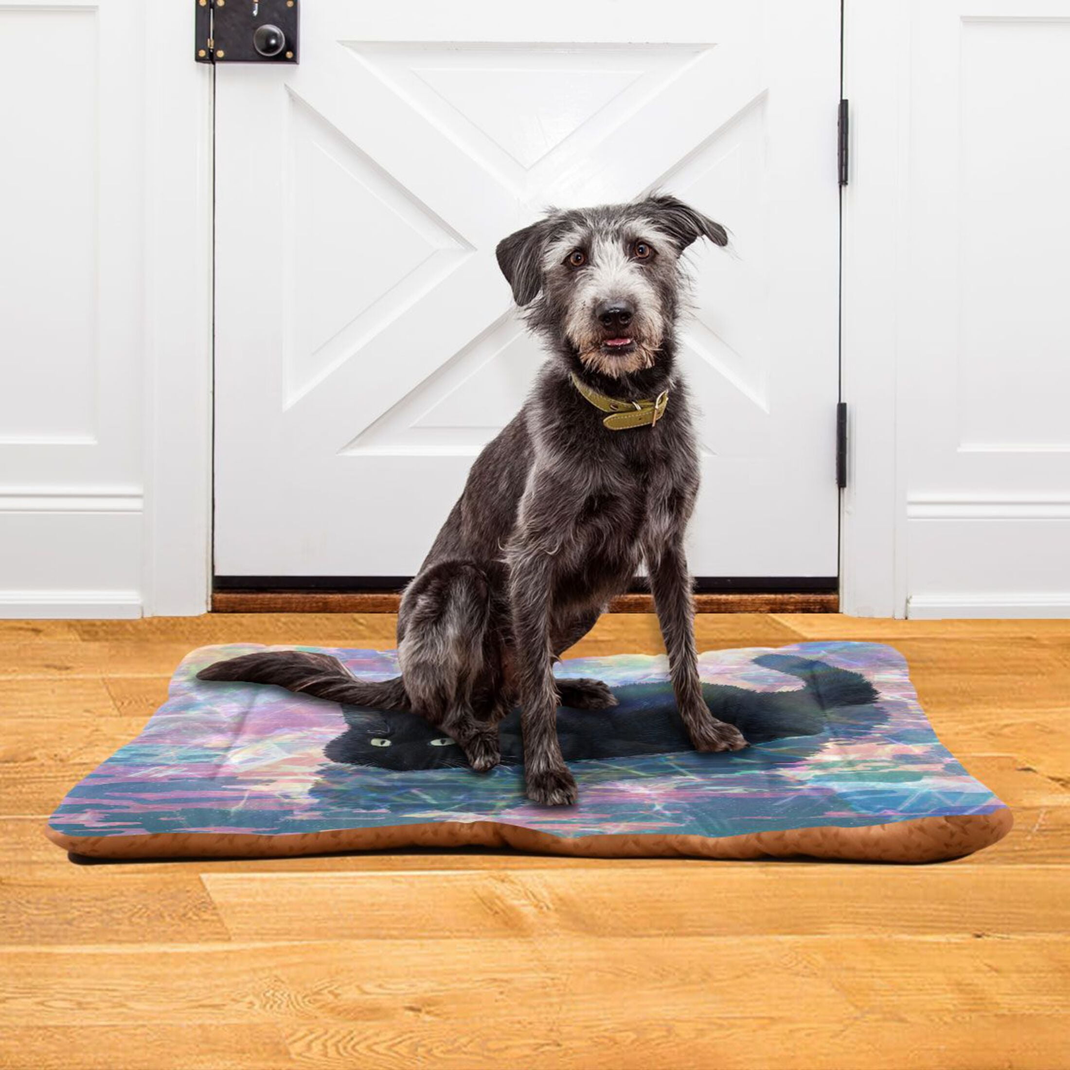 Cozy Mat Pet Bed Indoor Outdoor Warm Soft For Cat Dog Puppy(S/M) Black Cat Swimming
