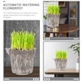 thumbnail image 2 of Maceta autocebante para flores, contenedor de autorriego, maceta para orquídeas, contenedor transparente, 4 Uds., 2 of 6