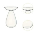 thumbnail image 6 of CoudarTitie Hydroponic Floral Vase, Plant Propagation Station, Elegant Decorative Glass Vase Transparent, 6 of 9