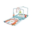 thumbnail image 1 of Juguete para bebés Fisher Price Baby Gimnasio De Cabaña 3 en 1, 1 of 2