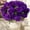 Purple, variant on KUNPENG Fake Flowers Outdoor, Artificial Geraniums, Window Box Flowers, Outdoor Artificial Plants, Porch Decor, Faux Silk Flowers, UV Resistant