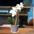 thumbnail image 4 of Phenofice 1 Set of Balcony Planter Transparent Plastic Rounded for Outdoor Use, 4 of 8