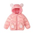 thumbnail image 2 of Hicidod Puffer Jacket for Girls Boys Hooded Zipper Thicken Warm Winter Coats Lightweight Cute Print Toddler Down Jackets, 2 of 6