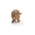 thumbnail image 5 of Figura de juguete Schleich Wild Life Armadillo Wild Animal 2024, 5 of 5