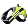 thumbnail image 1 of Arnés LED para perros S / M / x / XL Correas ajustables de control Verde M Gloria Arnés para perros, 1 of 9