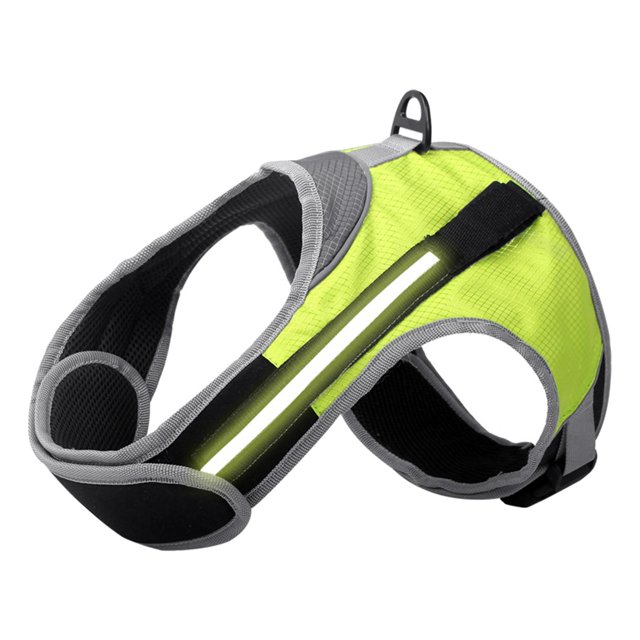 Arnés LED para perros S / M / x / XL Correas ajustables de control Verde M Gloria Arnés para perros