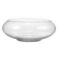 thumbnail image 2 of Glass Planter Pot Glass Succulents Pot Small Flowerpot Small Planter Container Clear Fish Bowl, 2 of 9