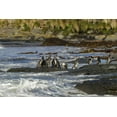 thumbnail image 2 of Illg, Cathy and Gordon 14x11 White Modern Wood Framed Museum Art Print Titled - Sea Lion Island Magellanic penguins and surf, 2 of 4