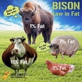 thumbnail image 5 of Dog Chits Bison Lung Fillets for Dogs - Dog and Puppy Chews, Huge Bag, Made in USA, All-Natural Treats, Crispy not Crumbly, Large and Small Dogs, Flavor Dogs Love, 5 of 5