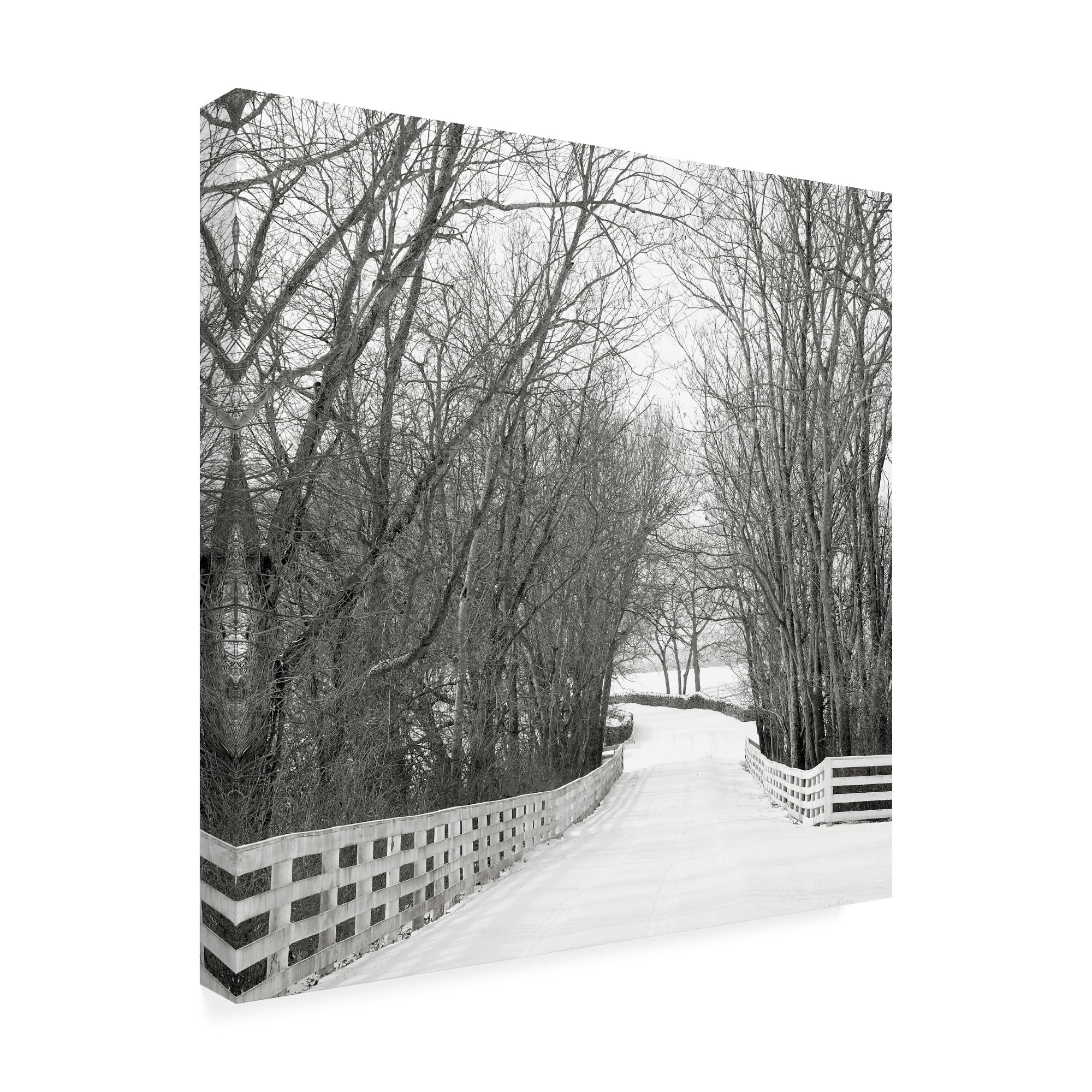 Trademark Fine Art 'Country Lane in Winter' Canvas Art by Nicholas Bel