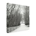 thumbnail image 2 of Trademark Fine Art 'Country Lane in Winter' Canvas Art by Nicholas Bel, 2 of 3