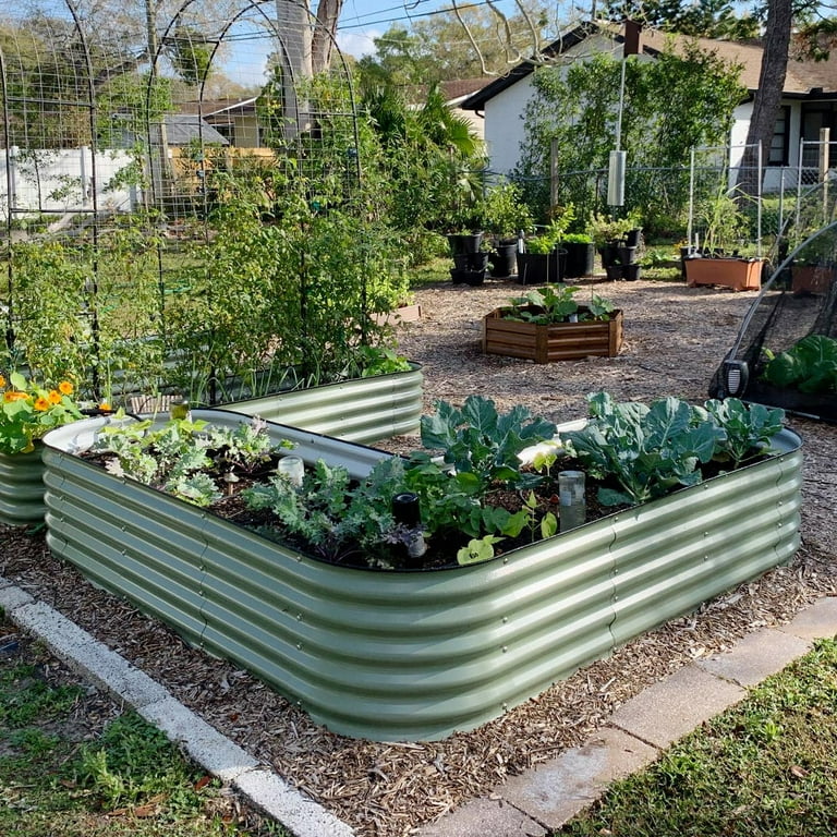 Olle Galvanized Raised Garden Beds –  Ollegardens raised-garden-beds-home-garden-vegetable-beds-sage-green