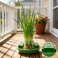 thumbnail image 6 of Indoor Hydroponic Planter Growing Container, Green Food Grade Vegetable Planting Pot, Scallion Onion Planter for Kitchen Windowsill Balcony Home Indoor Herb Garden Daily Use, 6 of 6