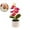 A, variant on VQPeo Artificial Orchid Plant – Realistic Silk Flower in Rose– Plastic Potted Fake Bonsai – Lifelike Home, Office & Wedding Decor