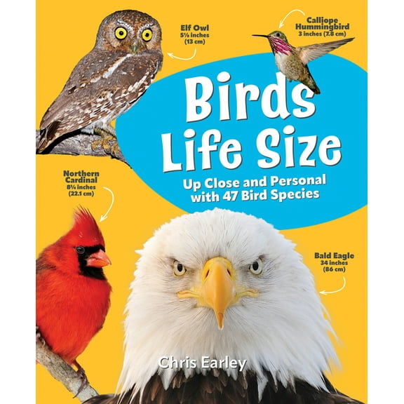Birds Life Size: Up Close and Personal with 47 Bird Species, (Hardcover)