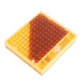 thumbnail image 3 of Zshan kit d'Élevage Sans Transfert de l'Apiculteur, 3 of 5