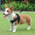 thumbnail image 2 of Reflective Dog Harness with Leash Set Breathable Pet Vest for Puppy Outdoor Walking Training and Easy Control, 2 of 9
