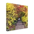 thumbnail image 2 of Trademark Fine Art 'Autumn Tunnel' Canvas Art by Colby Chester, 2 of 4