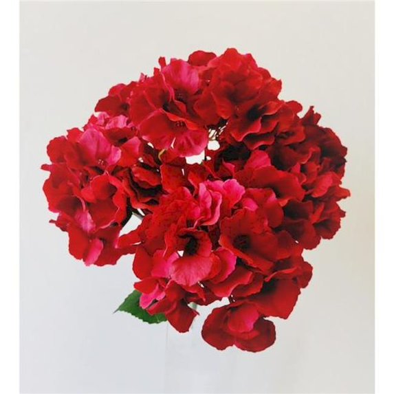Mr. MJs Trading CM-TC085DR Dark Red Hydrangea Bush Artificial Flowers