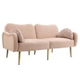 thumbnail image 3 of Modern Sofa with 2 Cushions, Ergonomics Love Shaped Loveseat Velvet Love Seat Armrest Sofa, 3 of 8