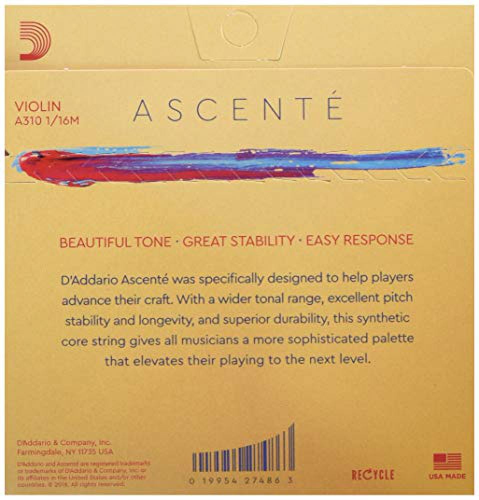 D'Addario Ascente Violin String Set 1/16 Size, Medium