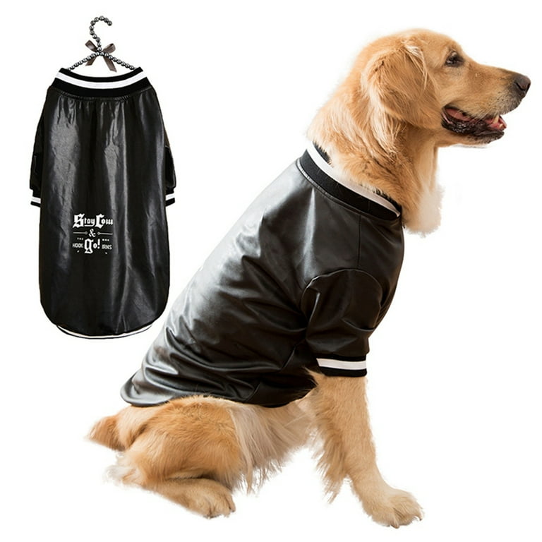 Dog hot sale motorcycle jacket