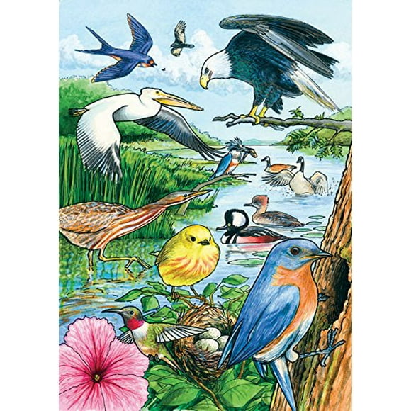 Cobble Hill Casse-Tête pour Enfants Oiseaux Nord-Américains 35 Pcs
