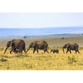 thumbnail image 2 of wall26 - Elephant Family on The Vast Grassland - Removable Wall Mural | Self-Adhesive Large Wallpaper - 100x144 inches, 2 of 6
