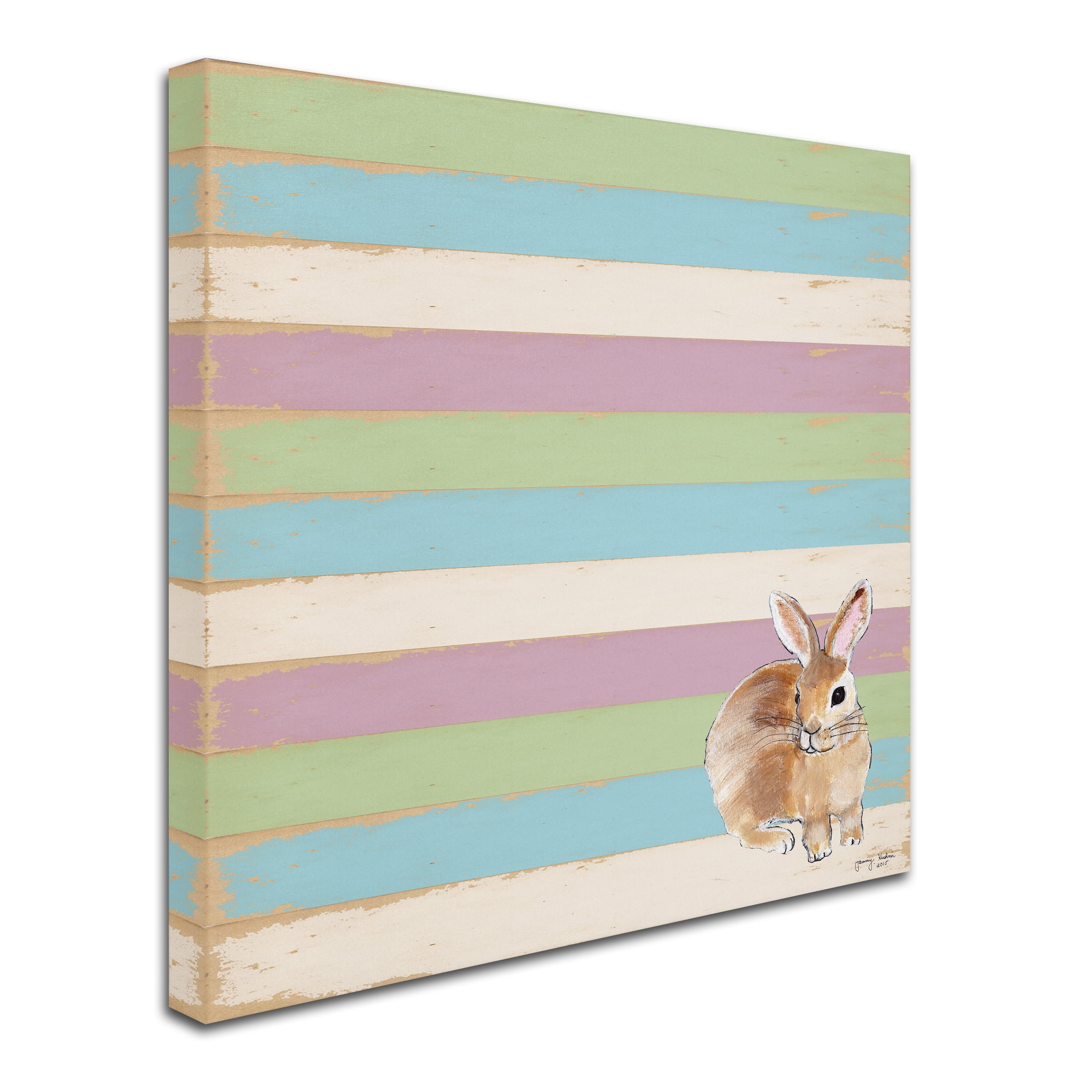 Trademark Fine Art 'Rabbit' Canvas Art by Tammy Kushnir