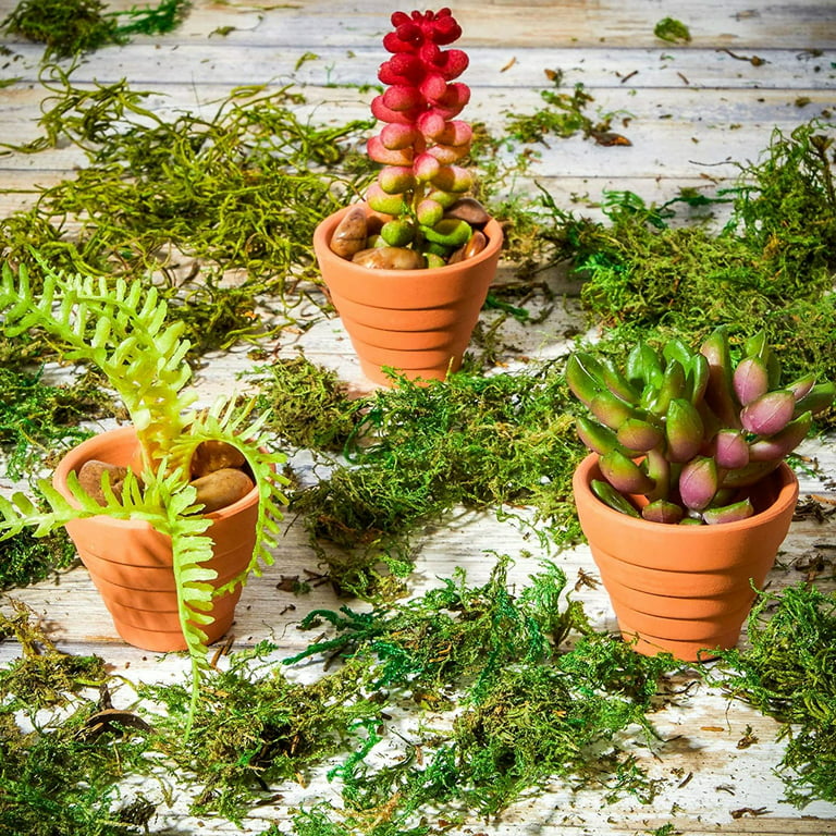 HAND PAINTED Terra Cotta Clay Pots for Succulents and Cactus