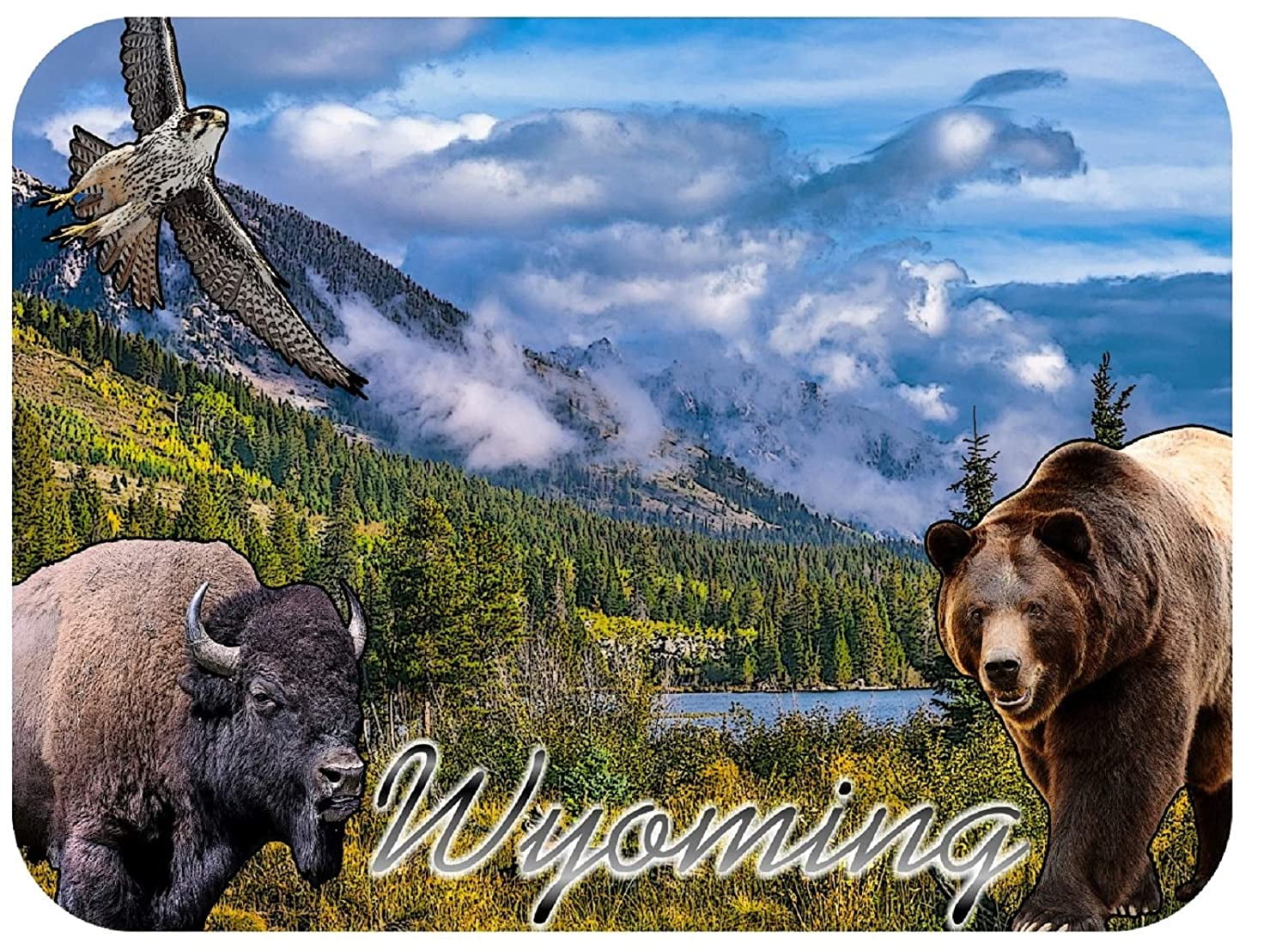 Wyoming with Bison and Bear Fridge Magnet 