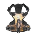 thumbnail image 4 of Gaeub Wildlife Protection Gaeub Wildlife Protection No Pull Dog Harness, Secure and Adjustable Pet Vest for Outdoor Activities - Large, 4 of 8