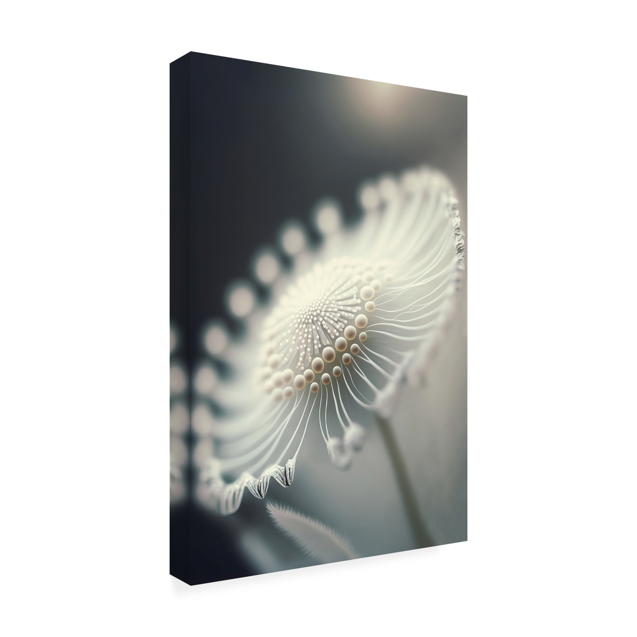 Canvas Wall Art - Treechild 'Tiny Pearls' Wall Art for Living Room, Bedroom, or Office D?cor by Trademark Fine Art - 16 x 24 Inches