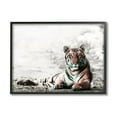 thumbnail image 2 of Stupell Industries Tiger Cat Resting Animal Portrait Striped Feline, 14 x 11,Design by Danita Delimont, 2 of 5