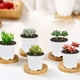 thumbnail image 3 of Macetas de plástico para vivero de plantas, macetas para iniciación de plántulas de flores, compatibles con pequeñas macetas de jardín para trasplantar suculentas, 3 of 5