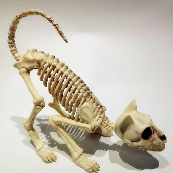 Crouching Cat Skeleton Cat Skull Model Creepy Scary Animal Bones Lifelike Cat Bone Halloween Decorations,halloween Props Animal Skeleton Halloween Sup