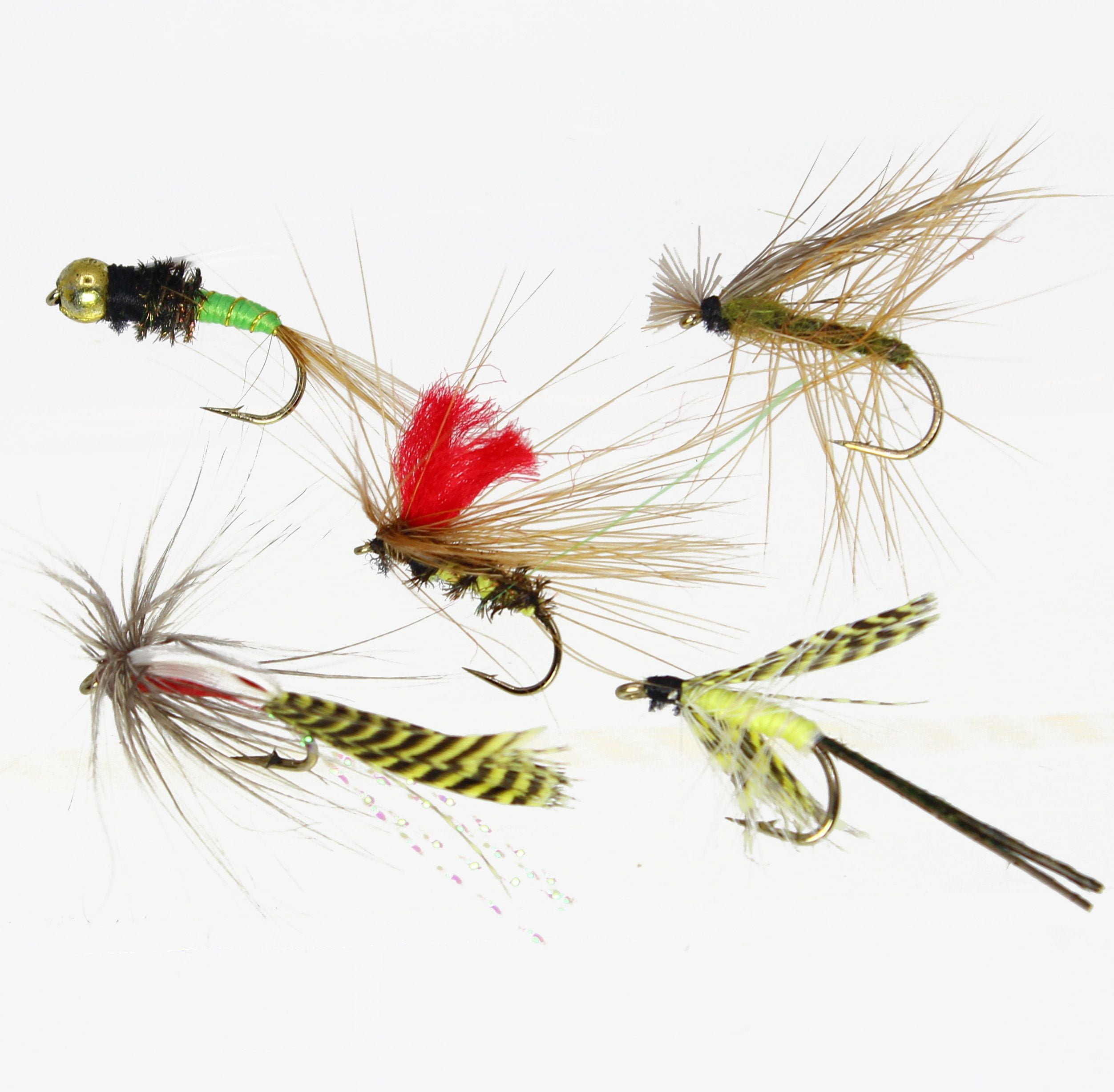 LotFancy 30 Dry Wet Flies for Fly Fishing with Box