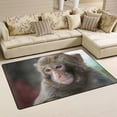 thumbnail image 2 of Coolnut Lightweight Soft Area Rugs 60 x 39 inch (5'x 3'3"), Cute Wild Monkey Floor Mat for Kids Playing Room Hardwood Floor Living Room Nursery Rugs, 2 of 6