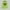 Green, variant on Womens Cute Leopard Heart Print Hoodie Valentine Casual Hooded Pullover Loose Fit Long Sleeve Sweatshirt with Drawstring