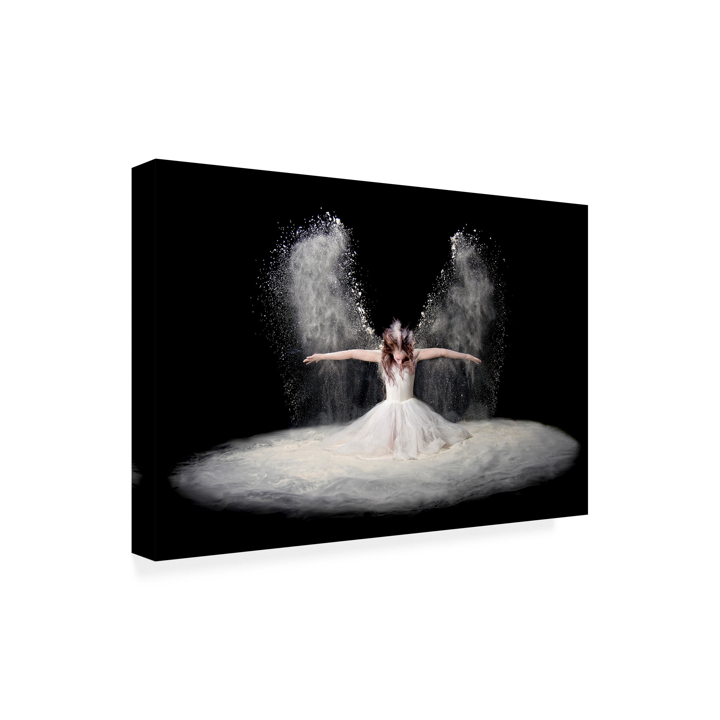 Pauline Pentony Ba 'Dust Wings' Canvas Art