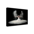 thumbnail image 4 of Pauline Pentony Ba 'Dust Wings' Canvas Art, 4 of 4